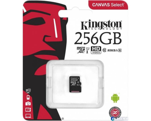 Карта памяти T-Flash