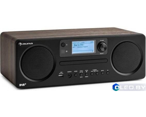 Интернет-радио Auna Worldwide CD Spotify Connect App Bluetooth WD NDY