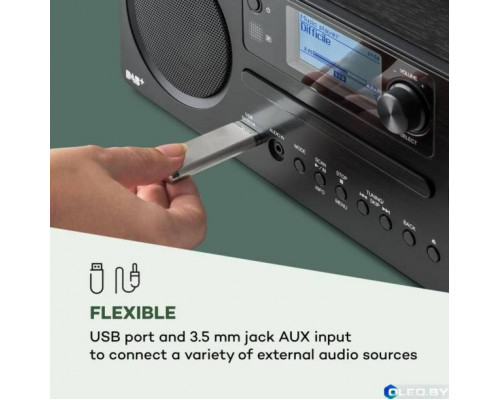 Интернет-радио Auna Worldwide CD Spotify Connect App Bluetooth WD NDY