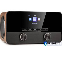 Интернет радио Auna Connect 100 SE wooden