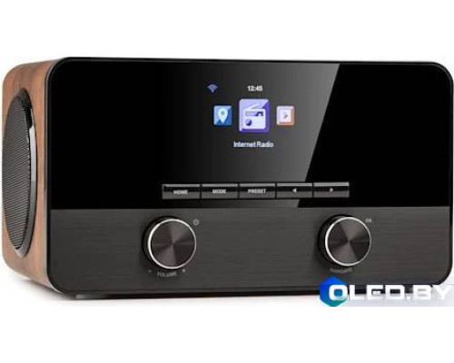 Интернет радио Auna Connect 100 SE wooden