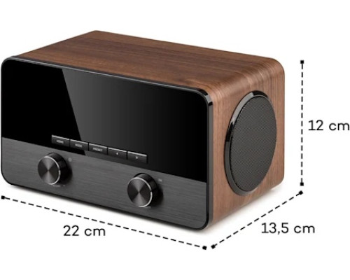 Интернет радио Auna Connect 100 SE wooden