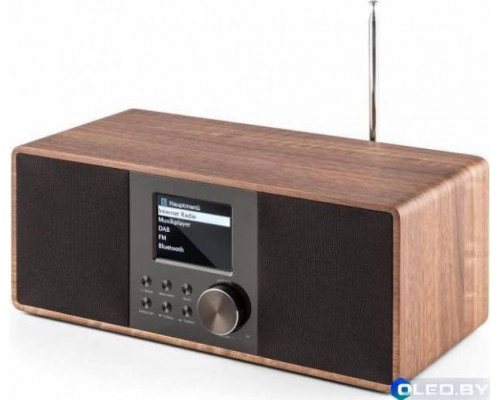 Интернет-радио Auna Connect 120