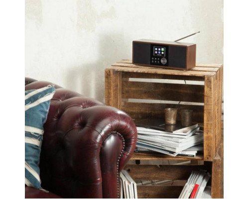 Интернет-радио Auna Connect 120