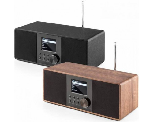 Интернет-радио Auna Connect 120