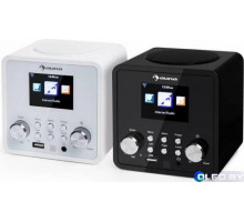 Интернет-радио Auna IR-120