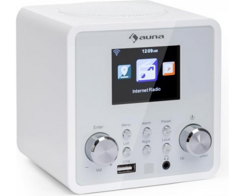 Интернет-радио Auna IR-120