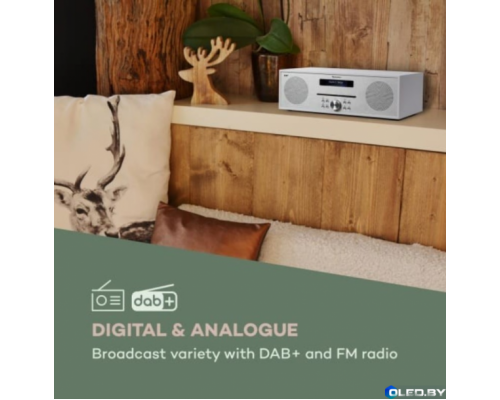 Интернет-радио Silver Star Stereo