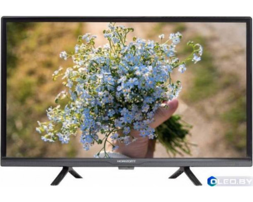 Телевизор Horizont 24LE5011D