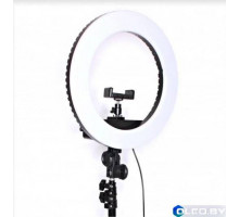 Кольцевая лампа светодиодная HQ14