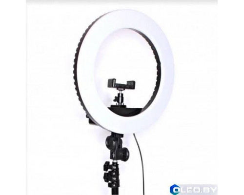 Кольцевая лампа светодиодная HQ14