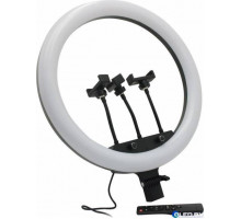 Кольцевая лампа Smartbuy SBL-TTL-18