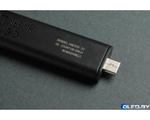 Флеш-накопитель Kingston DTMAX 256GB