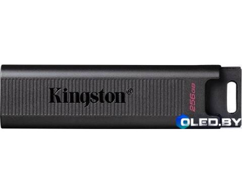 Флеш-накопитель Kingston DTMAX 256GB