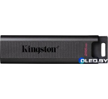 Флеш-накопитель Kingston DTMAX 512GB