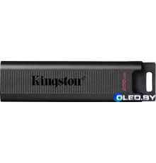 Флеш-накопитель Kingston DTMAX 512GB