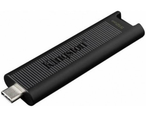 Флеш-накопитель Kingston DTMAX 256GB