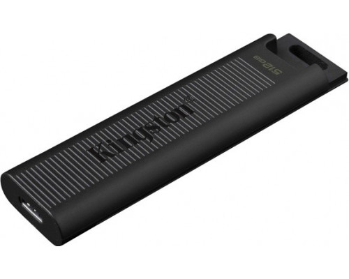 Флеш-накопитель Kingston DTMAX 256GB