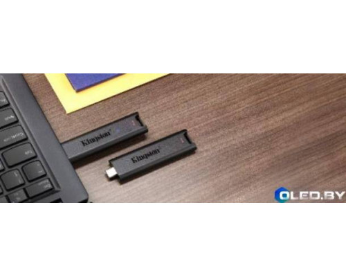 Флеш-накопитель Kingston DTMAX 256GB