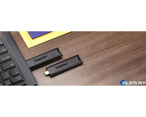 Флеш-накопитель Kingston DTMAX 1TB