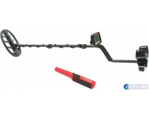 Металлоискатель Fisher F44-11DD +F-Pulse
