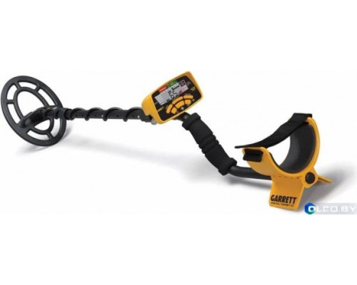 Металлоискатель Garrett ACE 300i