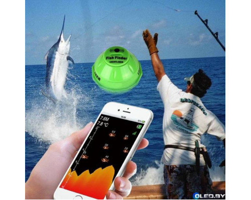 Эхолот Lucky Luckylaker FF916