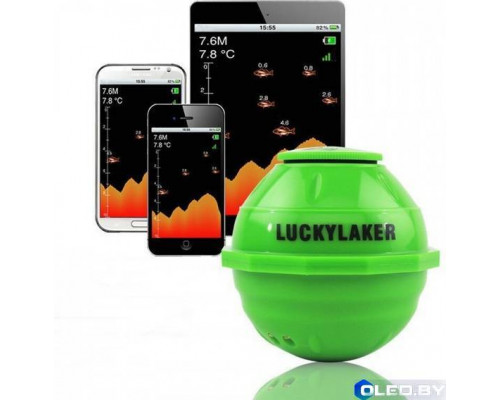 Эхолот Lucky Luckylaker FF916