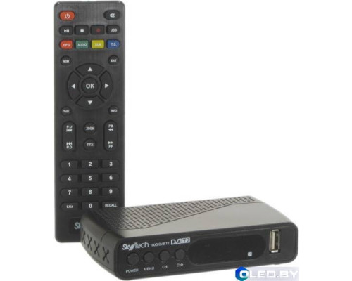 Приставка для цифрового ТВ SKYTECH 100G