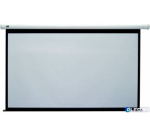 Экран с электроприводам Classic Lyra