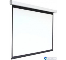 Экран настенный с электроприводом Digis DSEF-16907 338x196 см
