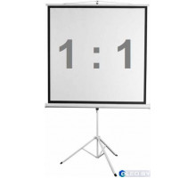 Экран на штативе Digis DSKD-1105 186x189 см