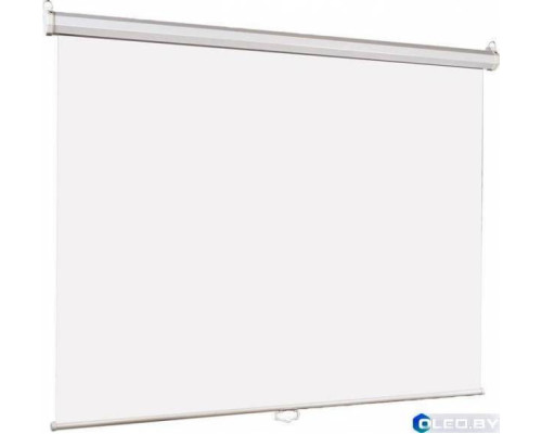 Экран Lumien Eco Picture 200x200cm LEP-100103