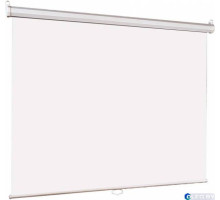 Настенный экран Lumien Eco Picture 178x280 см