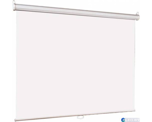 Настенный экран Lumien Eco Picture 178x280 см