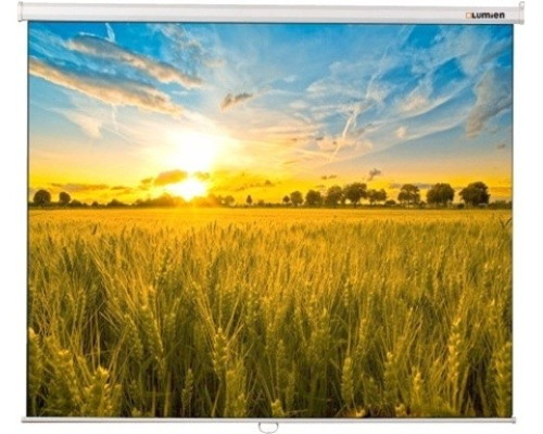 Настенный экран Lumien Eco Picture 200x200 см