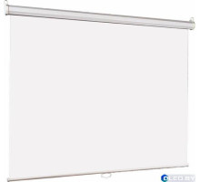 Настенный экран Lumien Eco Picture 220x220 см