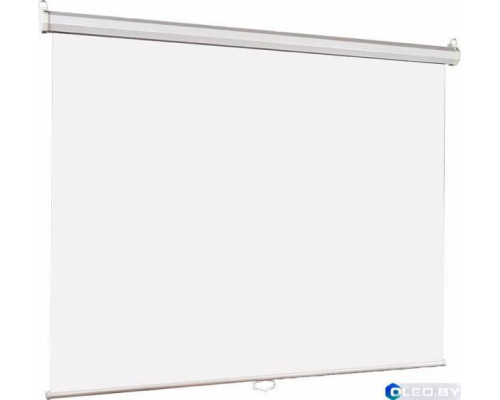 Настенный экран Lumien Eco Picture 220x220 см