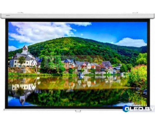 Настенный экран Lumien Master Picture CSR 197x244 см