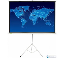 Экран Cactus Triscreen 150x150cm 1:1 White CS-PST-150x150