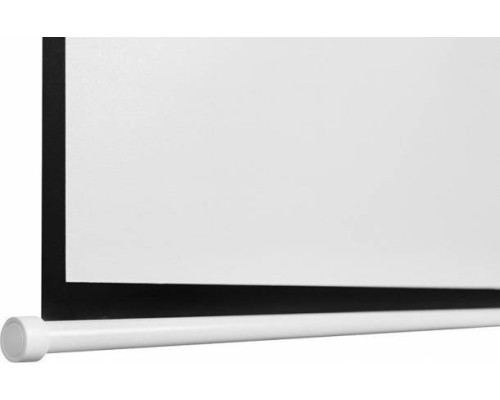 Экран Digis Optimal-B DSOB-4301 120x160cm