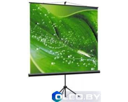 Экран Viewscreen Clamp TCL-1101