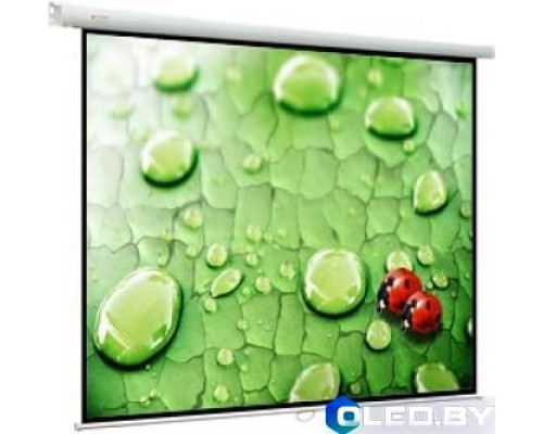 Экран Viewscreen Lotus WLO-4303