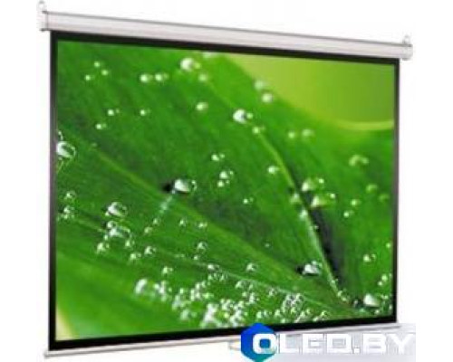 Экран Viewscreen Scroll WSC-1103