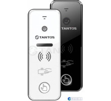 Вызывная панель Tantos iPanel 2 WG