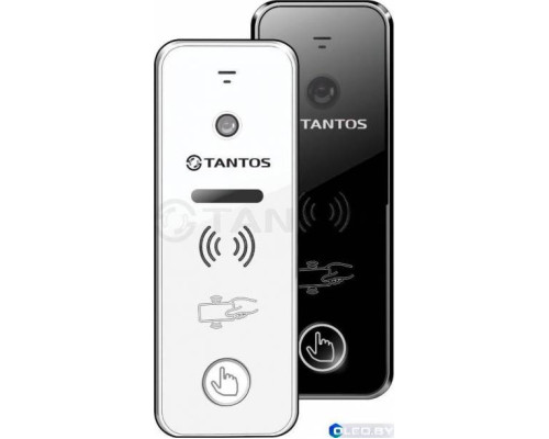 Вызывная панель Tantos iPanel 2 WG