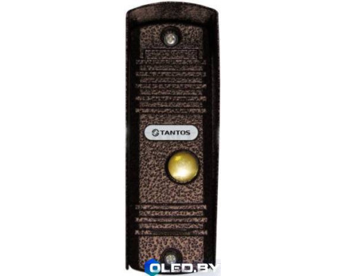 Вызывная панель Tantos Walle