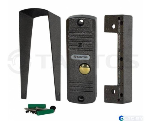 Вызывная панель Tantos Walle