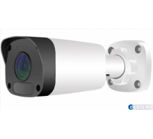 Видеокамера IP 2Mp Longse LS-IP204/60