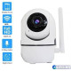 Видеокамера IP 2Mp Longse LS-WIFI204/11PTZ